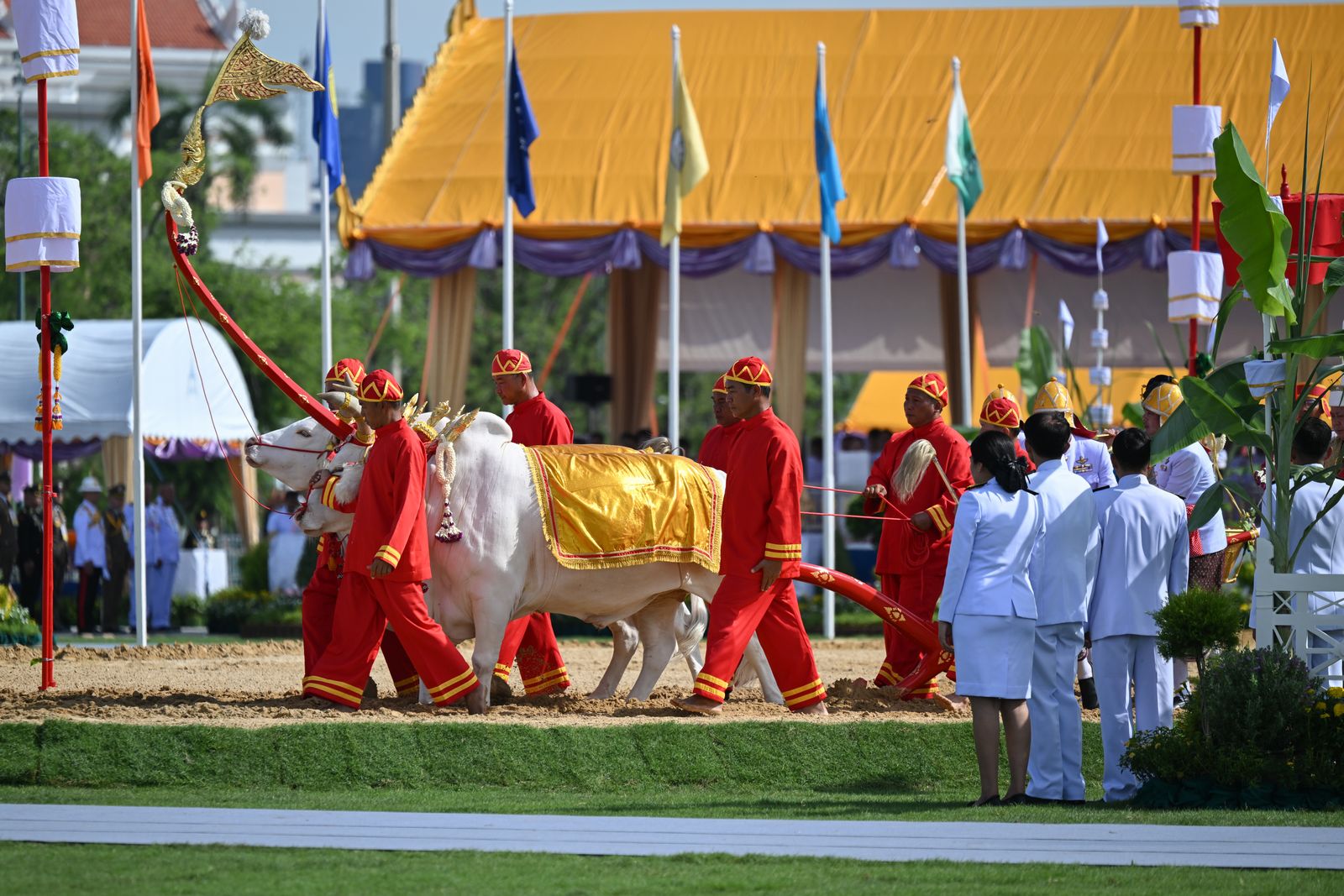 Royal Ploughing Ceremony